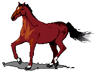 [Horse]