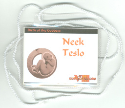 [Neek Teslo Name Tag]