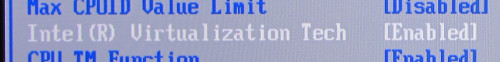 [Intel Virtualization Tech]